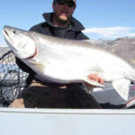 Blue Mesa Fishing